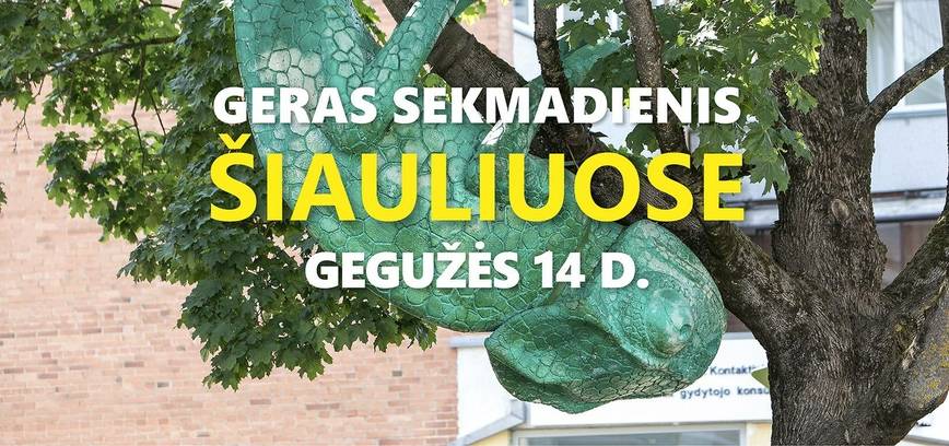 GERAS SEKMADIENIS ŠIAULIUOSE