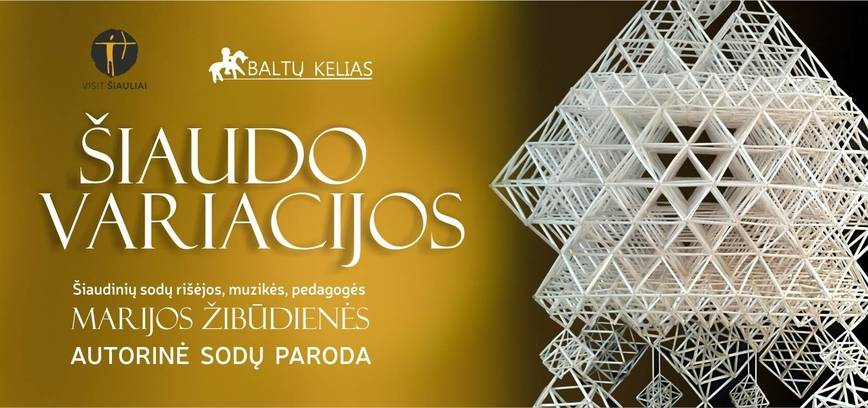 MARIJOS ŽIBŪDIENĖS PARODA „ŠIAUDO VARIACIJOS“