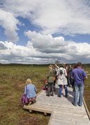 BALTS’ ROAD: TODAY’S EXPRESSIONS OF INTRINSIC CULTURE